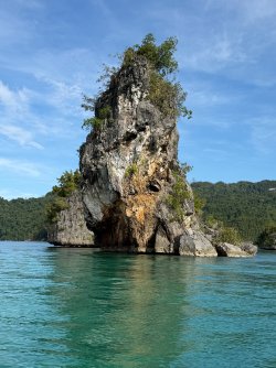 IMG_0653.JPG IMG_0653.JPG