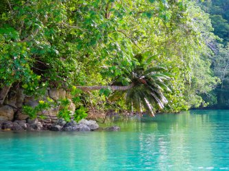 IMG_0865.JPG IMG_0865.JPG