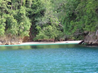 IMG_0890.JPG IMG_0890.JPG