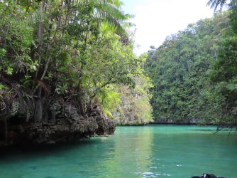 IMG_0891.JPG IMG_0891.JPG