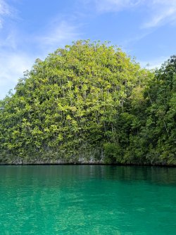 IMG_0668.JPG IMG_0668.JPG