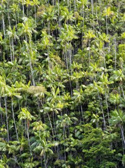 IMG_0669.JPG IMG_0669.JPG