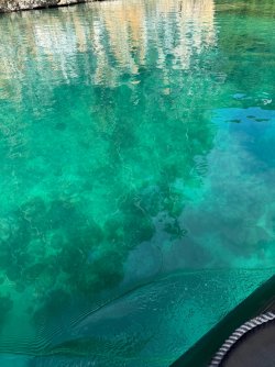 IMG_0688.JPG IMG_0688.JPG