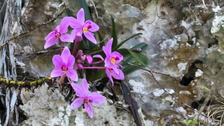 IMG_E0678.JPG IMG_E0678.JPG