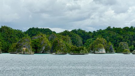 IMG_E0708.JPG IMG_E0708.JPG