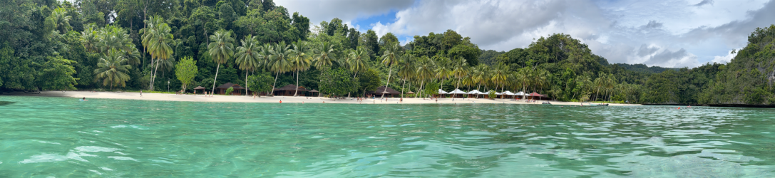 1765788845694.png 1765788845694.png