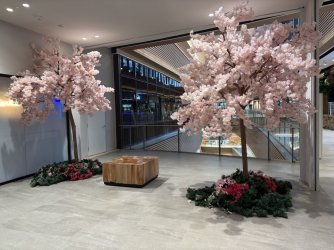 3356F128-30FF-459C-9B78-B2F26E722314_1_105_c.jpeg 3356F128-30FF-459C-9B78-B2F26E722314_1_105_c.jpeg