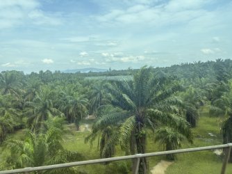 099D5D9D-F2E5-43FE-A31D-7D91B714F69F_1_105_c.jpeg 099D5D9D-F2E5-43FE-A31D-7D91B714F69F_1_105_c.jpeg