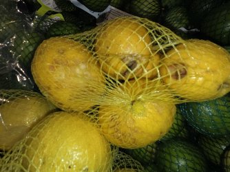 1765874093203.jpeg 1765874093203.jpeg