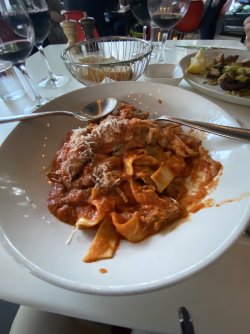 IMG_9669.jpeg IMG_9669.jpeg