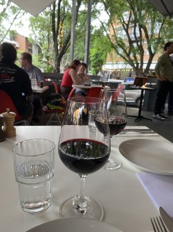 IMG_9668.jpeg IMG_9668.jpeg