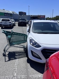 IMG_0512.jpeg IMG_0512.jpeg