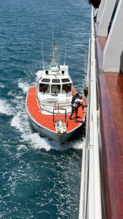 IMG_0945.JPEG IMG_0945.JPEG