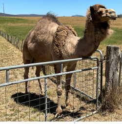 Screenshot 2025-12-25 135047.png