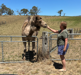 Screenshot 2025-12-25 135106.png