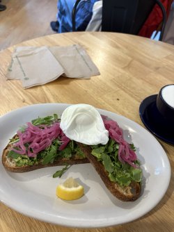 IMG_3482.jpeg IMG_3482.jpeg