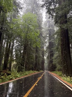 IMG_3485.jpeg IMG_3485.jpeg