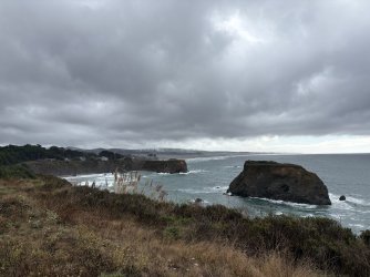 IMG_3502.jpeg IMG_3502.jpeg