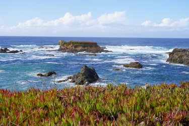 DSC02594.JPG DSC02594.JPG