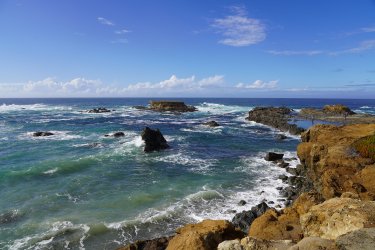 DSC02597.JPG DSC02597.JPG