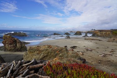 DSC02601.JPG DSC02601.JPG