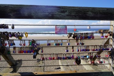 DSC02645.JPG DSC02645.JPG