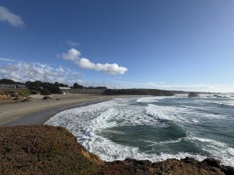 IMG_3510.jpeg IMG_3510.jpeg