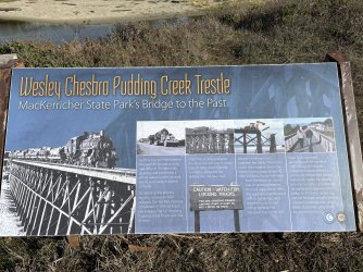 IMG_3506.jpeg IMG_3506.jpeg