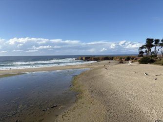 IMG_3516.jpeg IMG_3516.jpeg