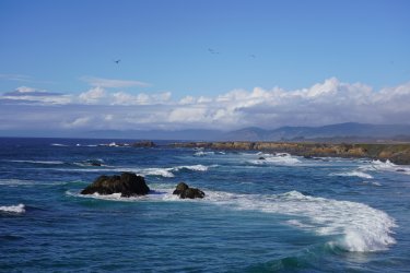 DSC02656.JPG DSC02656.JPG