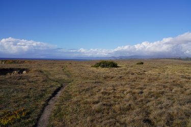 DSC02669.JPG DSC02669.JPG