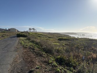 IMG_3512.jpeg IMG_3512.jpeg