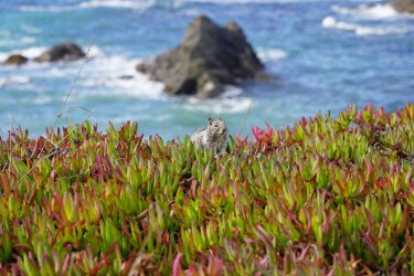 DSC02593.JPG DSC02593.JPG