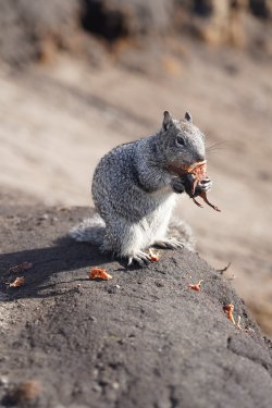 DSC02614.JPG DSC02614.JPG