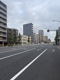 E61BBA3D-7D15-49CD-991D-8F56ED61AE8A_1_105_c.jpeg E61BBA3D-7D15-49CD-991D-8F56ED61AE8A_1_105_c.jpeg