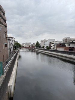 BF678005-DD52-444C-B01B-2FF3A7FE25AB_1_102_o.jpeg BF678005-DD52-444C-B01B-2FF3A7FE25AB_1_102_o.jpeg