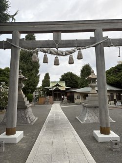 C9045867-79D8-49CE-B069-93B37CE68CA1_1_102_o.jpeg C9045867-79D8-49CE-B069-93B37CE68CA1_1_102_o.jpeg