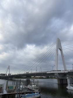 6C96544B-8D3D-4887-AE6A-12C56AB9B2E5_1_105_c.jpeg 6C96544B-8D3D-4887-AE6A-12C56AB9B2E5_1_105_c.jpeg