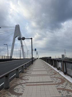 770535F8-B21A-4091-996E-2B16E6DDA7C3_1_105_c.jpeg 770535F8-B21A-4091-996E-2B16E6DDA7C3_1_105_c.jpeg