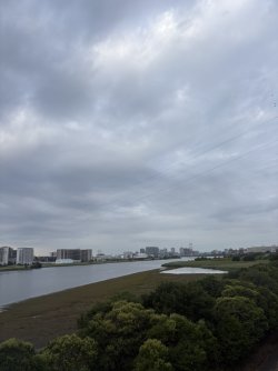 931531CC-8F79-42CE-9733-81A5712BD6B7_1_105_c.jpeg 931531CC-8F79-42CE-9733-81A5712BD6B7_1_105_c.jpeg