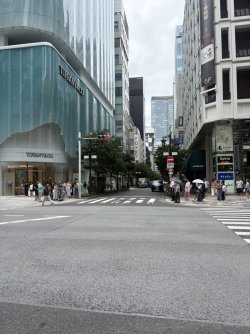 35B42048-B057-4098-9D30-D3A171CC024A_1_105_c.jpeg 35B42048-B057-4098-9D30-D3A171CC024A_1_105_c.jpeg