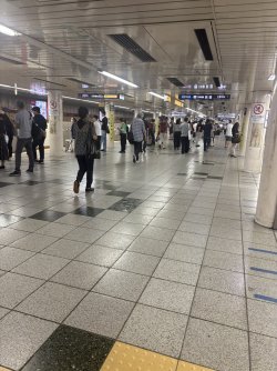 76DC9FB5-930A-4079-88EA-DB8965B78234_1_102_o.jpeg 76DC9FB5-930A-4079-88EA-DB8965B78234_1_102_o.jpeg