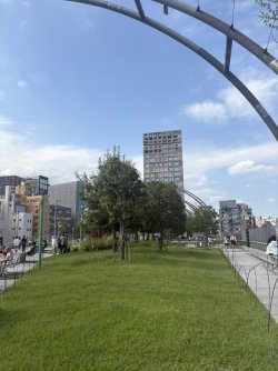 C80C0776-9D76-4EAC-833C-DE959FDD7B43_1_105_c.jpeg C80C0776-9D76-4EAC-833C-DE959FDD7B43_1_105_c.jpeg