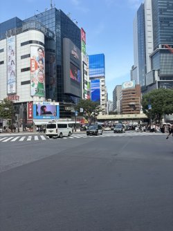 84703B28-DCE1-4202-AAE2-7BF2C1CBD4B5_1_105_c.jpeg 84703B28-DCE1-4202-AAE2-7BF2C1CBD4B5_1_105_c.jpeg