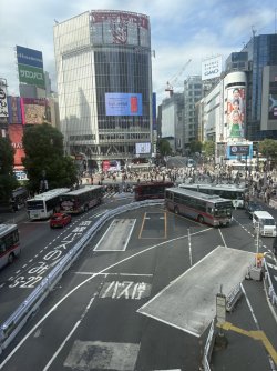 CA5E737B-9654-4A1E-91D3-7B92894E5C0A_1_105_c.jpeg CA5E737B-9654-4A1E-91D3-7B92894E5C0A_1_105_c.jpeg