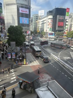 1988A45B-962F-433A-BC53-6634464F6911_1_105_c.jpeg 1988A45B-962F-433A-BC53-6634464F6911_1_105_c.jpeg