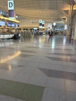 E0C82947-45C5-41F1-A724-48F328F7566E_1_105_c.jpeg E0C82947-45C5-41F1-A724-48F328F7566E_1_105_c.jpeg