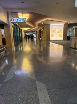 54B1067D-874D-4A86-91CD-49315823CD21_1_105_c.jpeg 54B1067D-874D-4A86-91CD-49315823CD21_1_105_c.jpeg