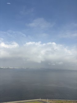 A6258BBF-96F1-4E78-B5FC-7191282D87CE_1_105_c.jpeg A6258BBF-96F1-4E78-B5FC-7191282D87CE_1_105_c.jpeg