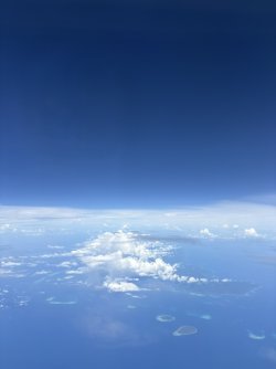 A48539DC-5EAF-49FB-84DB-64BB9B583855_1_105_c.jpeg A48539DC-5EAF-49FB-84DB-64BB9B583855_1_105_c.jpeg